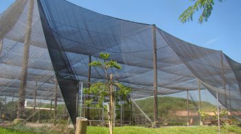 aprenda como instalar sombrite e veja suas aplicações